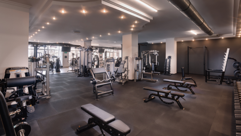 18 GYM - ZORILOR